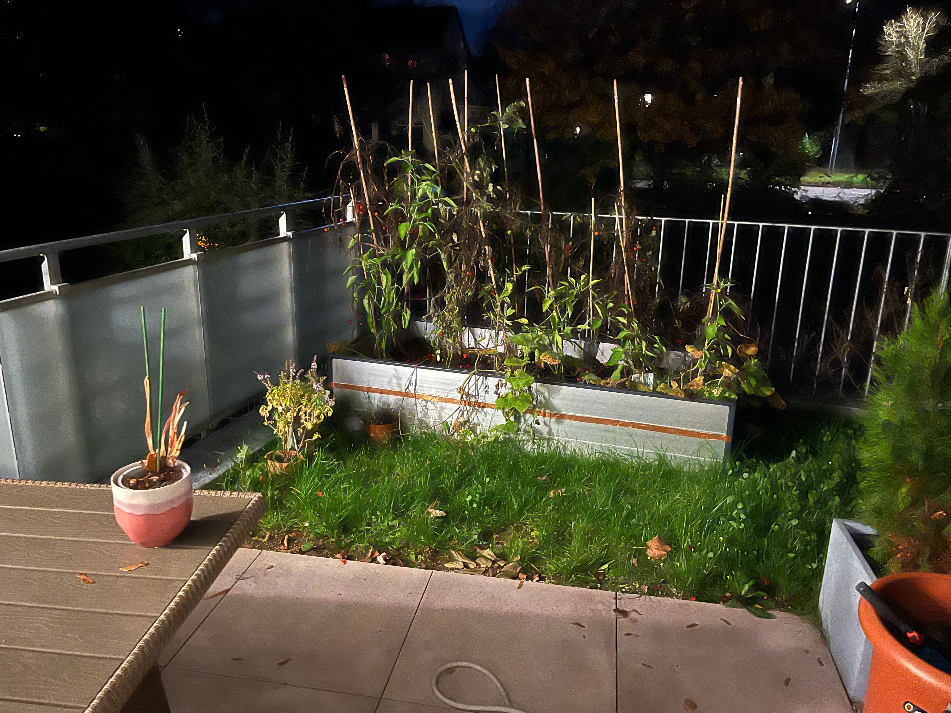  Beautiful New Apartment In Walking Distance To The University  -  Beautiful new apartment in walking distance to the university  - Gallery -  2