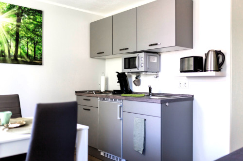 Bright & perfect apartment in Großengottern - Gallery - 5