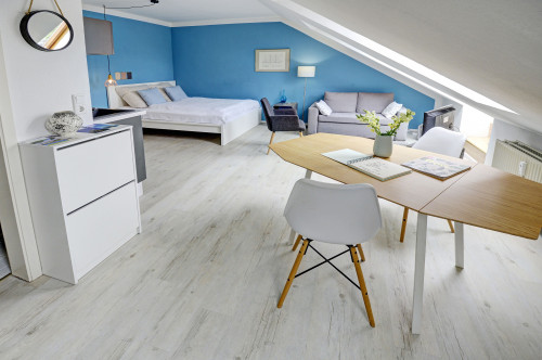 Studio apartment "Strandmuschel" with sea view for max. 2 people directly on the beach of Wassersleben.
