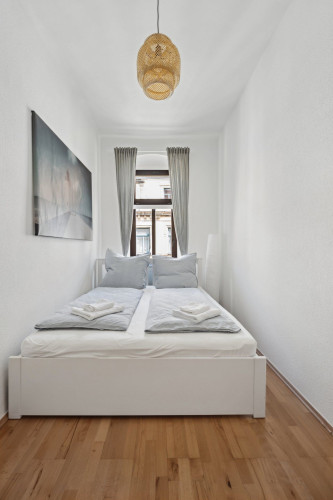 2BR light filled apartment in historic neigborhood near University and Center - Gallery - 6