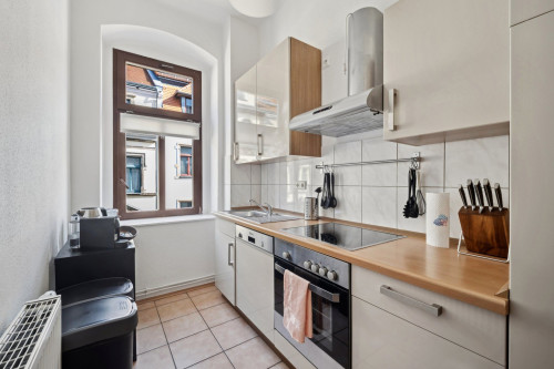 2BR light filled apartment in historic neigborhood near University and Center - Gallery - 11