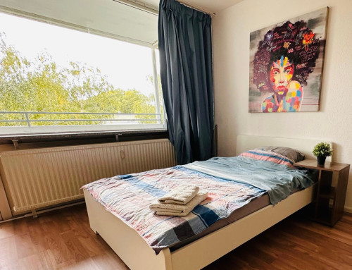 Fully furnished sunny studio with Parking, balcony and equipped kitchen in Bonn