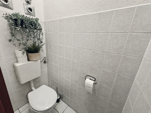 Stylish & Cosy Apartment near Dresden - complete fitted