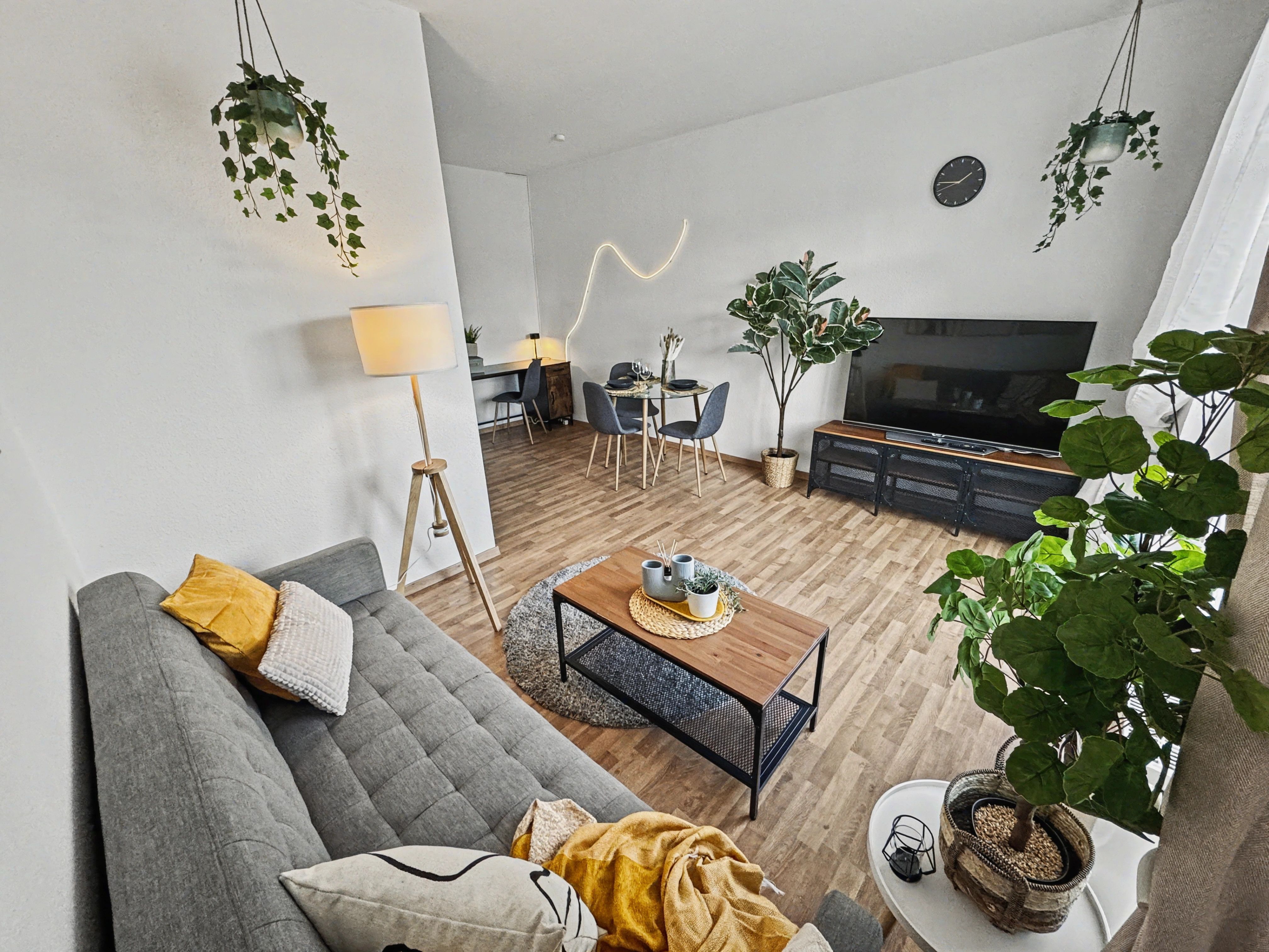  Stylish & Cosy Apartment Near Dresden - Complete Fitted  -  Stylish & Cosy Apartment near Dresden - complete fitted  - Gallery -  13
