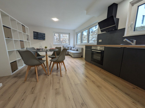 Gorgeous apartment with nice city view