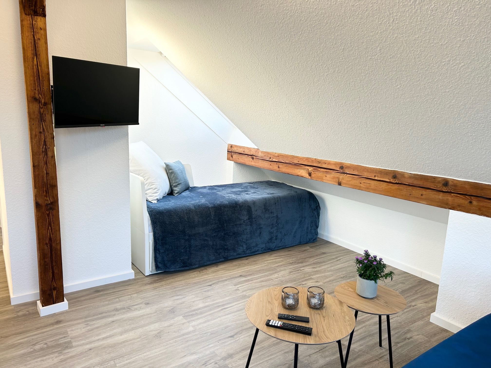 Modern & Charming Suite With Big Roof Terrace (Langenhagen) - 15