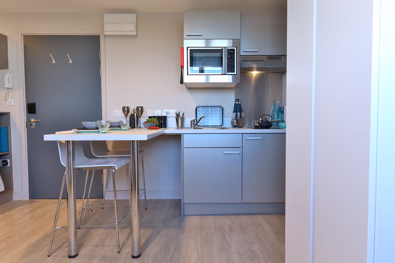  Classic Smaller Studio  -  Metrovick House  - Gallery -  2