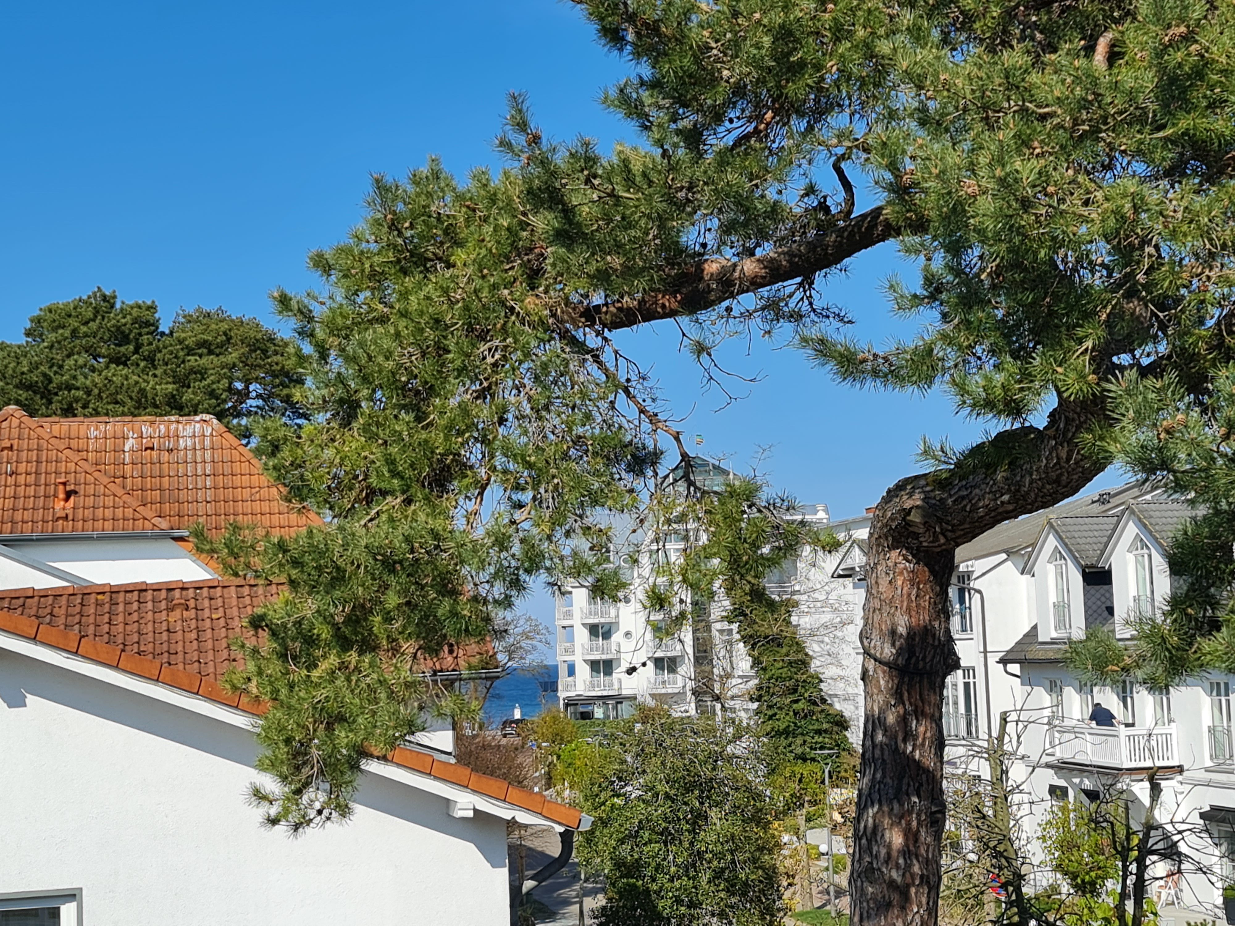  2-Room In The Heart Of Binz (not Prora!) - Just A Few Steps From The Beach  -  2-room in the heart of Binz (not Prora!) - just a few steps from the beach  - Gallery -  1