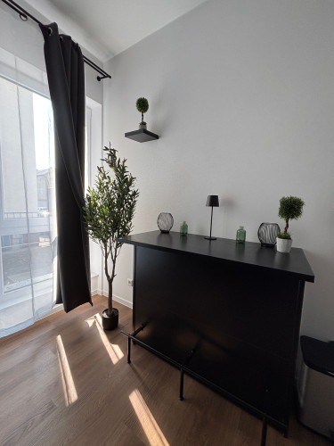 Stylish Premium Apartment | Tuttlingen Center  - Gallery -  5