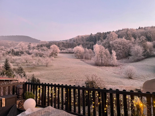 Waldblick Suite - Apartment - Balcony - Black Forest - Gallery - 40