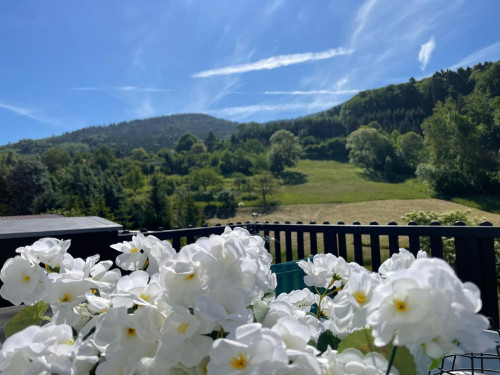 Waldblick Suite - Apartment - Balcony - Black Forest - Gallery - 39
