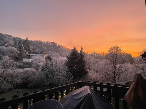 Waldblick Suite - Apartment - Balcony - Black Forest - Gallery - 41