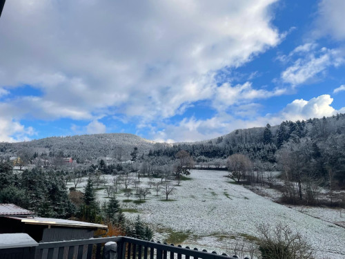 Waldblick Suite - Apartment - Balcony - Black Forest - Gallery - 38