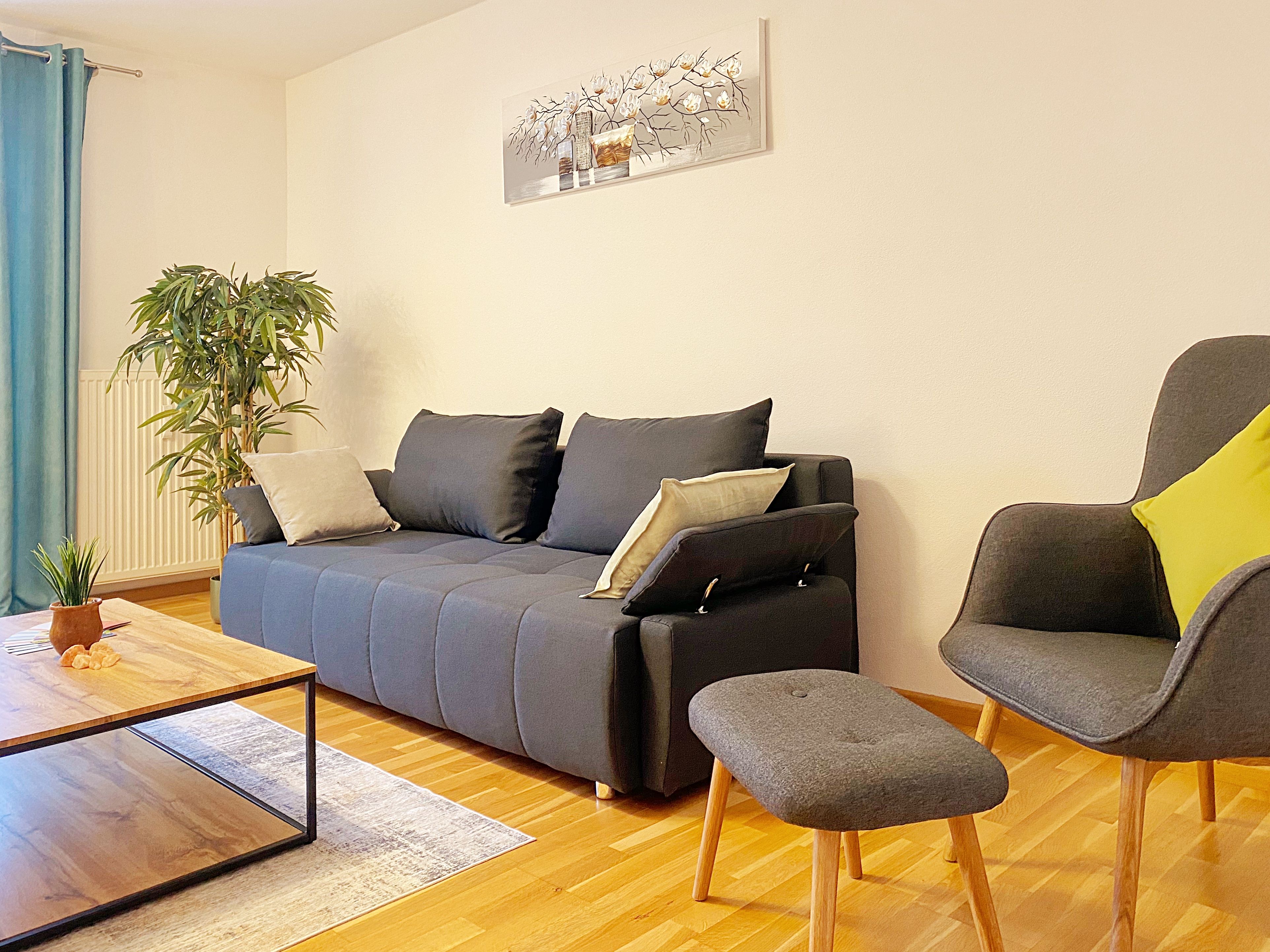 !GoldPath! Vacation Apartment On The Goldener Steig-Marketplace-Balcony-Parking - !GoldPath! Vacation apartment on the Goldener Steig-marketplace-balcony-parking - Gallery - 11