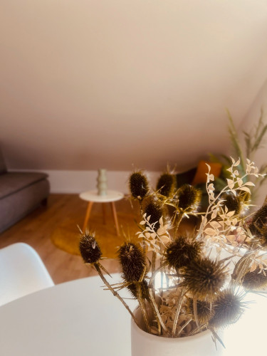 45 m², 2 rooms · Parking · 10 minutes to Tübingen - Gallery - 70