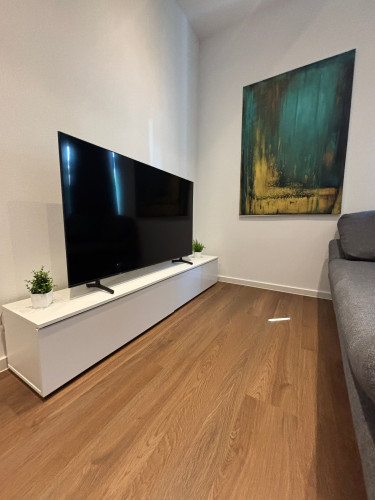 Business Apartment Tuttlingen | Modern & Central