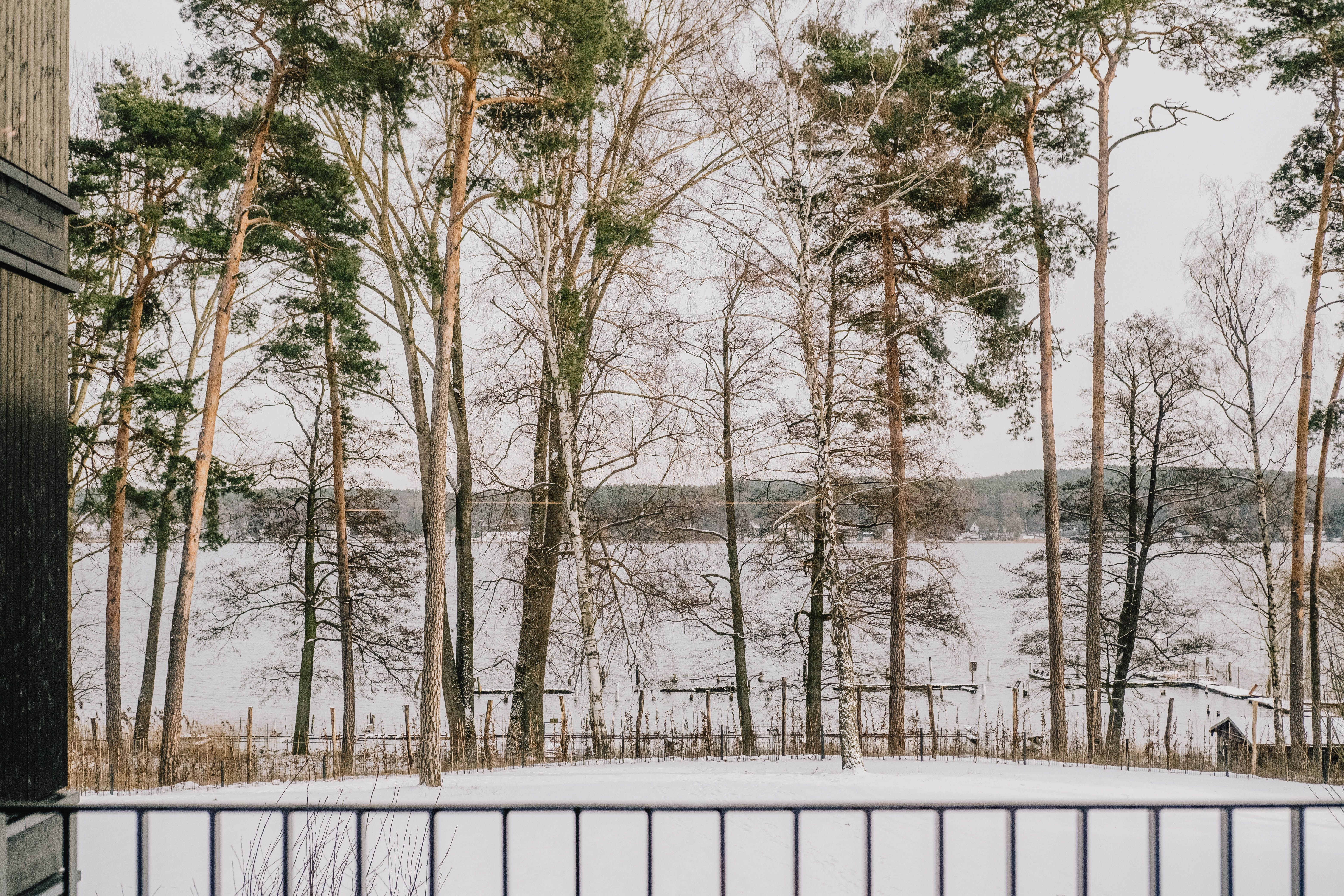  Exclusive 4-Room Apartment In Bad Saarow With Lake View, Pool, Sauna And Fireplace  -  Exclusive 4-room apartment in Bad Saarow with lake view, pool, sauna and fireplace  - Gallery -  2