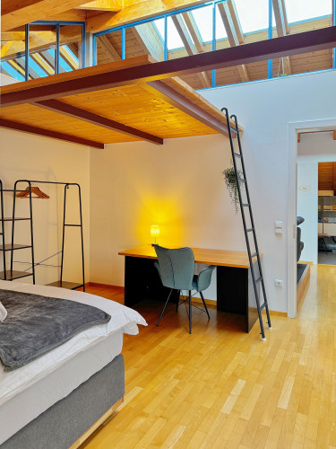 !GoldPath! Loft am Goldenen Steig-Marketplace-Bayerwald-Parking-Sauna - Gallery - 38