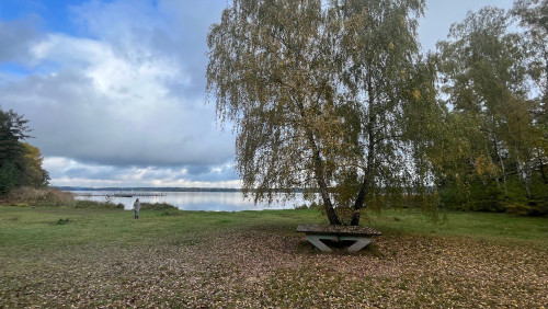 Peaceful Oasis with Lake View in Bad Saarow - Gallery - 30