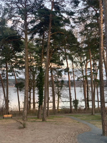 Peaceful Oasis with Lake View in Bad Saarow - Gallery - 31