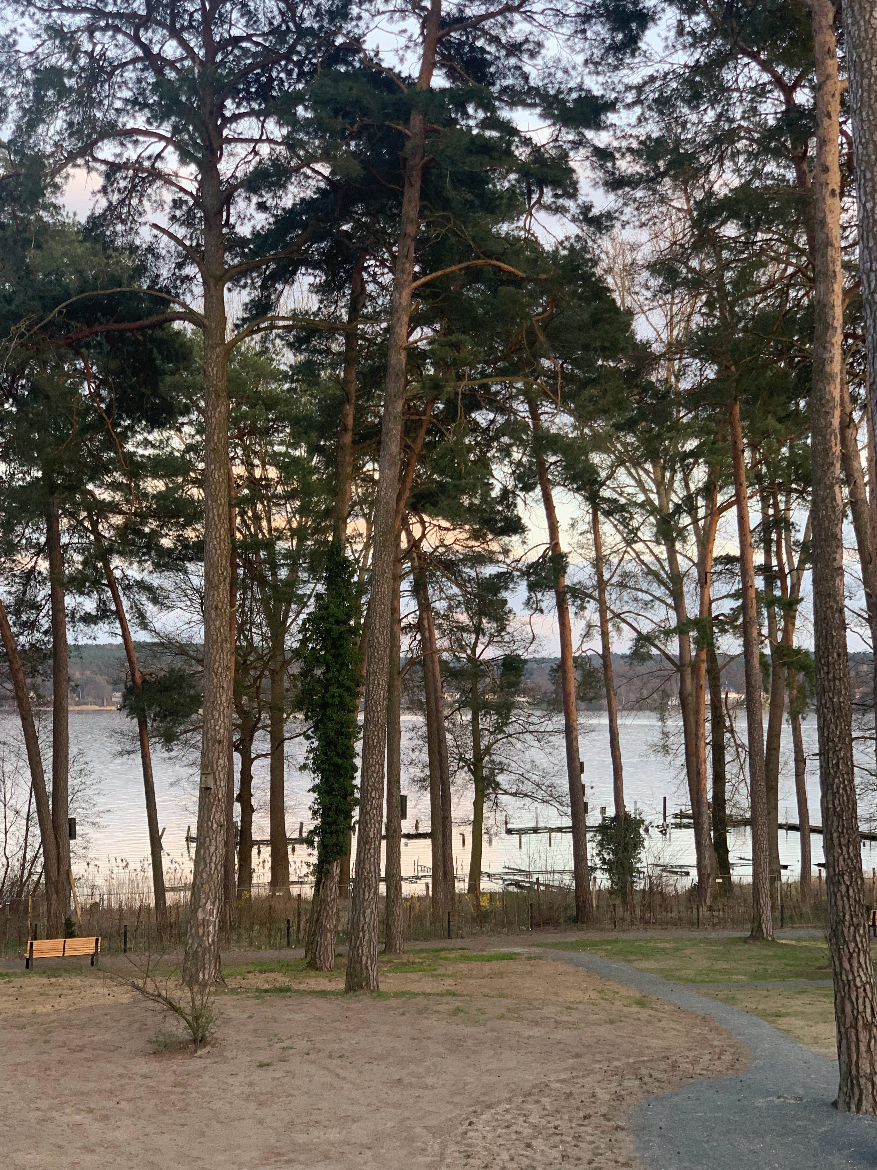 Peaceful Oasis With Lake View In Bad Saarow - Peaceful Oasis with Lake View in Bad Saarow - Gallery - 30