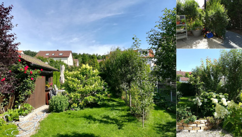 Bright 3 room apartment in Schönaich with garden