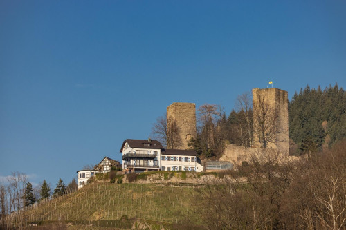 Hochkopf Suite - Apartment - Bühl - Black forest - modern - new - Gallery - 16
