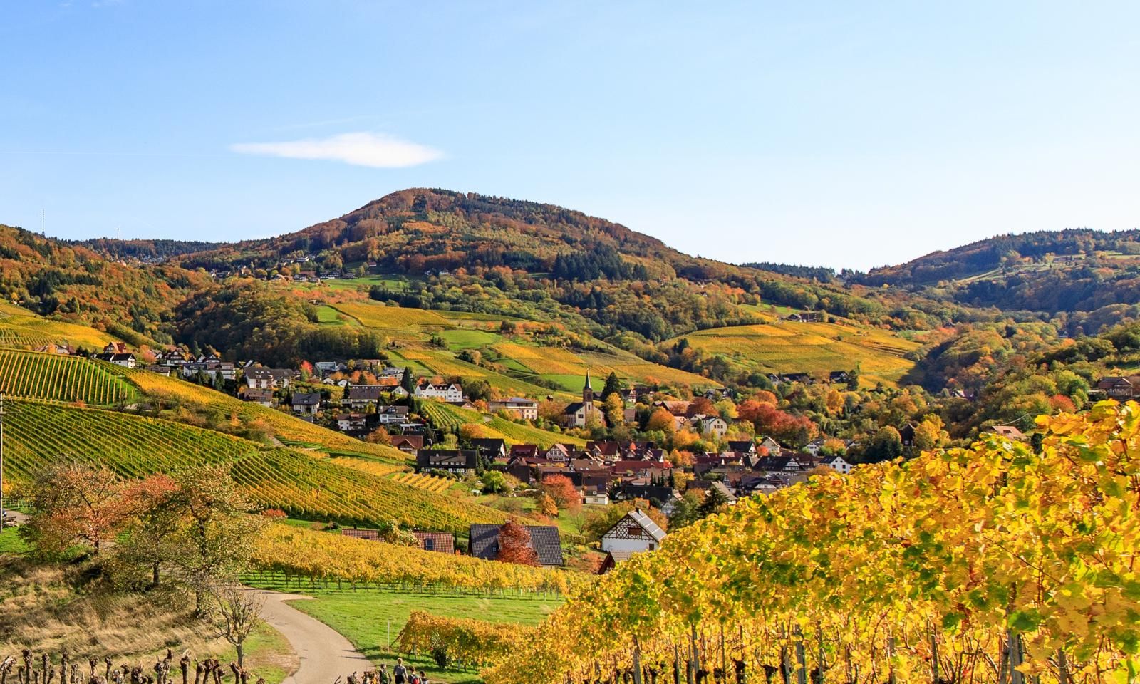 Hochkopf Suite - Apartment - Bühl - Black Forest - Modern - New - Hochkopf Suite - Apartment - Bühl - Black forest - modern - new - Gallery - 7