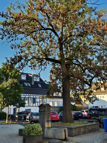 Perfect and beautiful loft in Koblenz