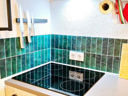Stylish apartment with huge balcony in Offenbach am Main