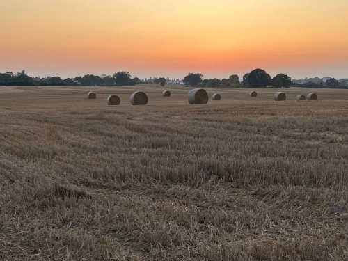 Large 1930s house in Neustadt/Holstein