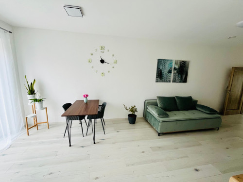 Modernes Business-Apartment near Würzburg – Top A3/A7-connection & Highspeed-WLAN - Gallery - 13