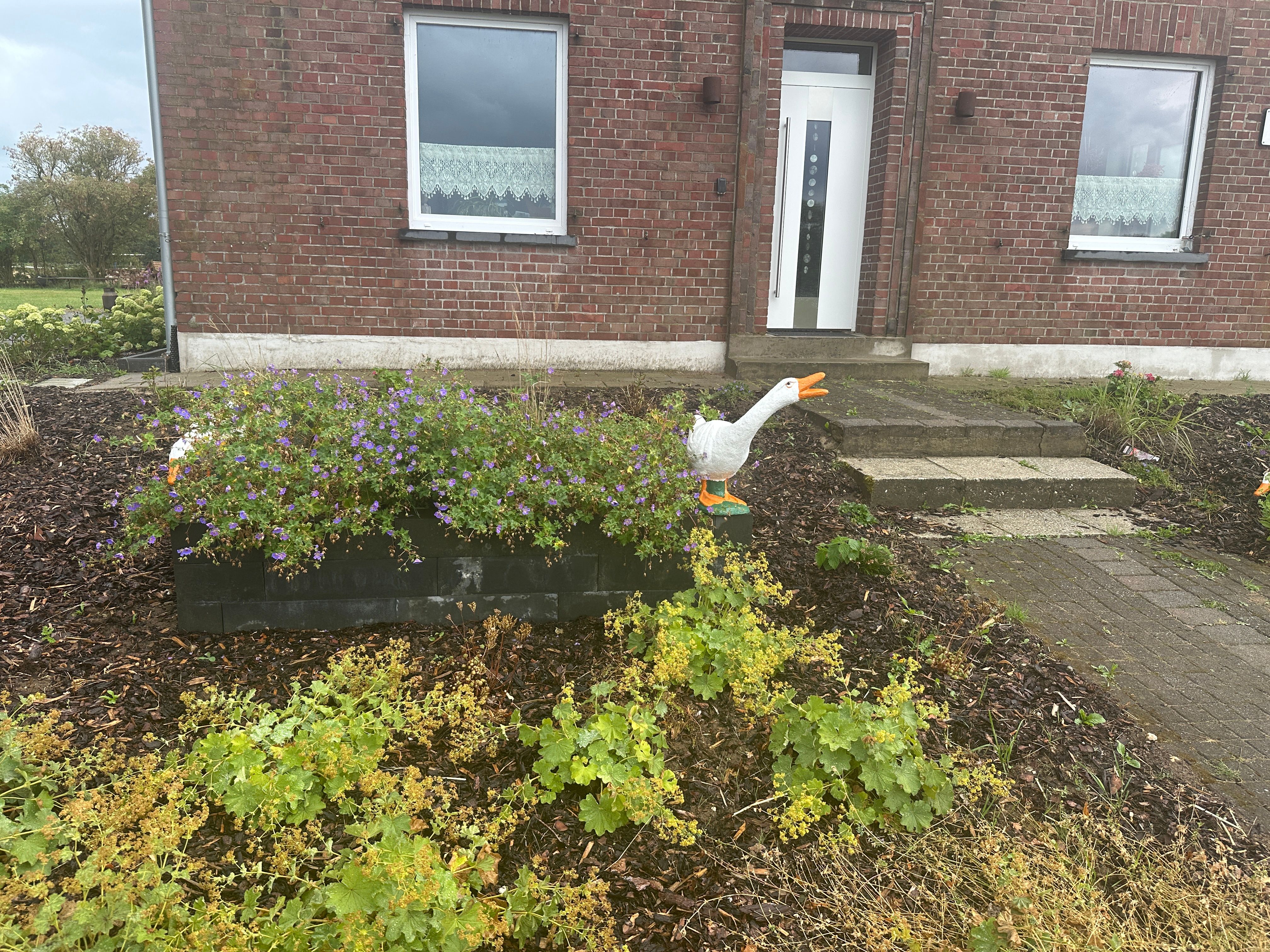  Cozy Apartment On 2 Floors  -  Cozy apartment on 2 floors  - Gallery -  24