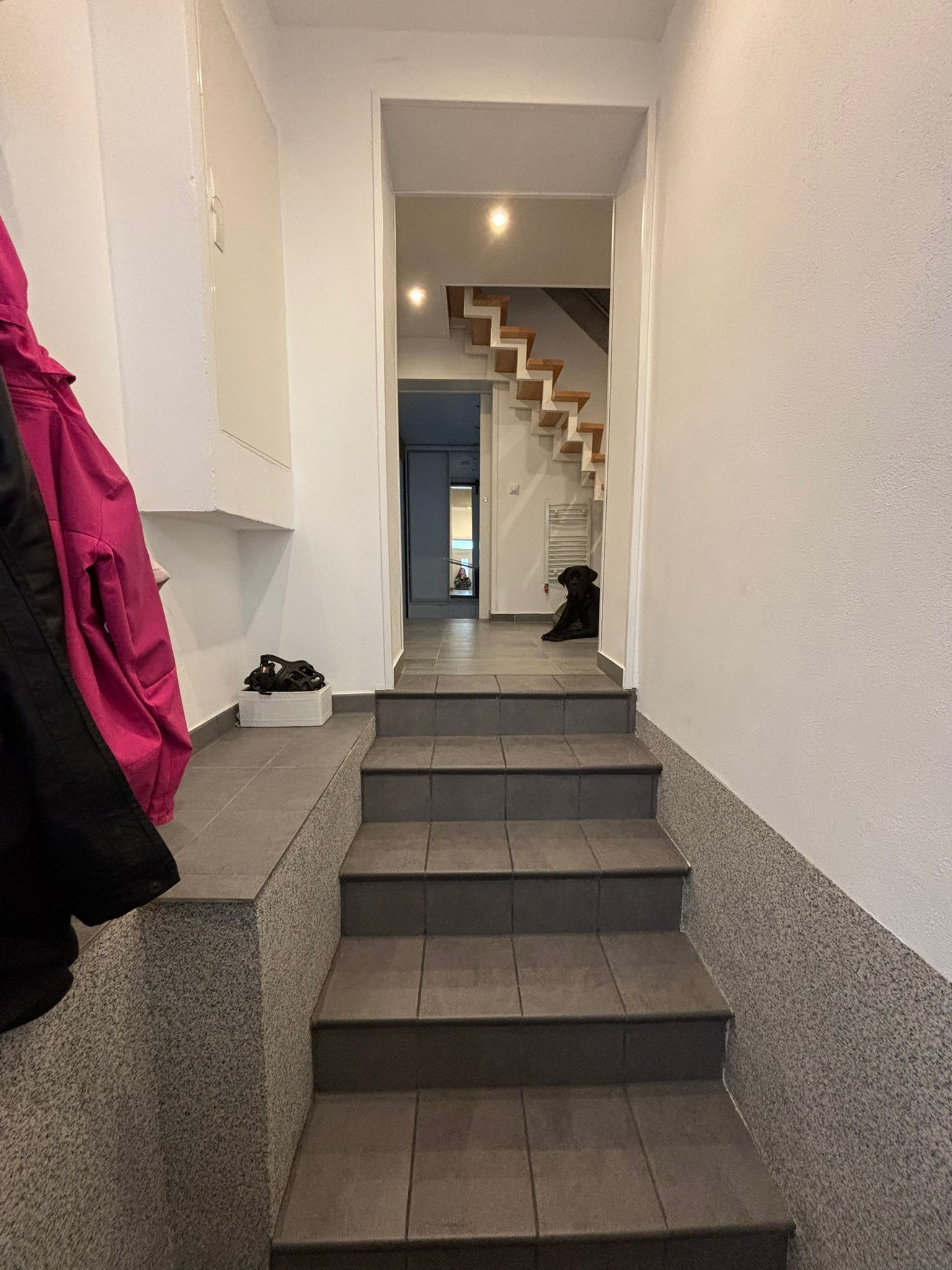 Modernized Half-Timbered House (125 M², 4 Rooms) In Nidderau - €1,200 + €350 NBK - Modernized half-timbered house (125 m², 4 rooms) in Nidderau - €1,200 + €350 NBK - Gallery - 19