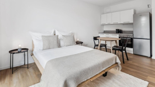 Deligthful studio in Moabit