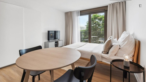 Welcoming studio in well-connected Moabit