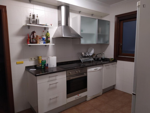 Comfy 3 Bedroom Apartment close to Amara-Donostia Train Station