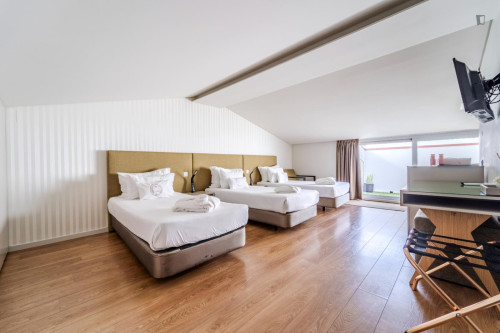 Bright studio near the centre of Braga