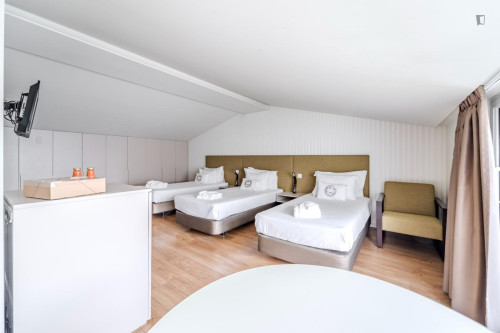 Bright studio near the centre of Braga