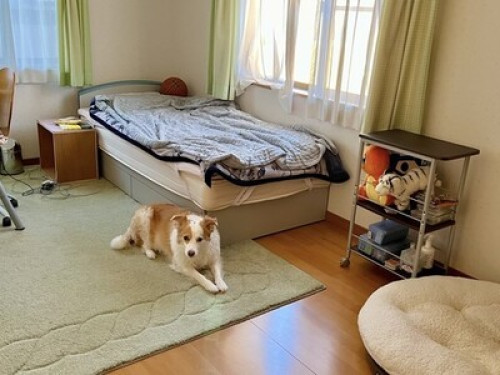 Looking for short stay? 