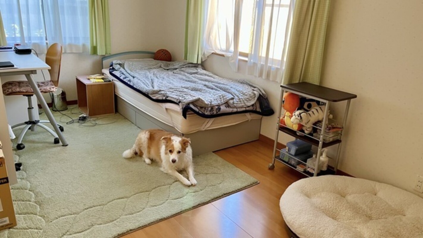  Keisuke's Room(Single Bed)  -  Looking for short stay?   - Gallery -  1