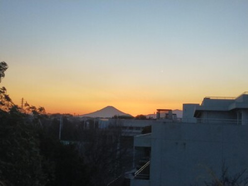 [Female Only]GREEN HOUSE  - Gallery -  5