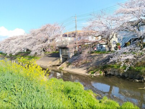 OSO Homestay - Gallery - 13