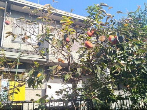 OSO Homestay - Gallery - 32