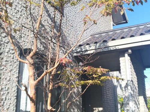 OSO Homestay - Gallery - 38
