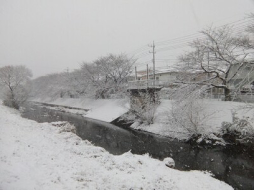 OSO Homestay - Gallery - 16