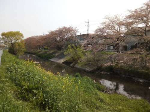 OSO Homestay - Gallery - 14