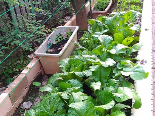 OSO Homestay - Gallery - 35