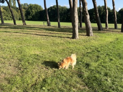 Perfect room in beautiful house 
