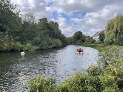 Perfect room in beautiful house 